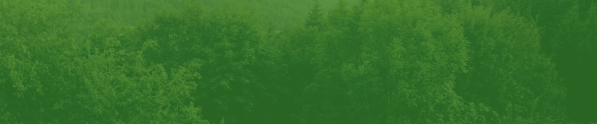Welcome Background